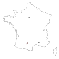 Eleusine indica var. major E.Fourn. - carte des observations