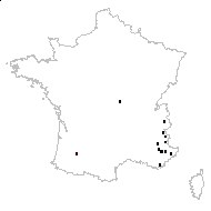 Agropyron collinum var. quinqueflorum Opiz - carte des observations