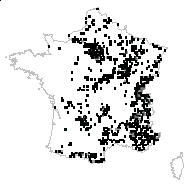 Epipactis helleborine (L.) Crantz - carte des observations