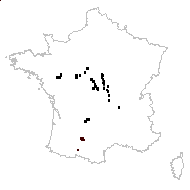 Eragrostis filiformis Link - carte des observations