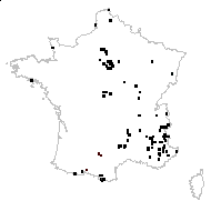 Erigeron acris L. - carte des observations