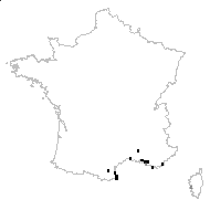 Erodium malacoides subsp. chium (L.) Bonnier & Layens - carte des observations