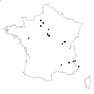 Esula riparia (Jord.) Fourr. - carte des observations