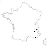 Euphorbia flavicoma DC. subsp. flavicoma - carte des observations